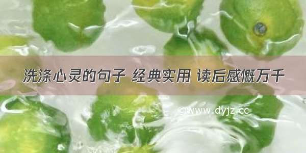 洗涤心灵的句子 经典实用 读后感慨万千