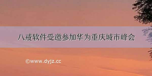 八戒软件受邀参加华为重庆城市峰会