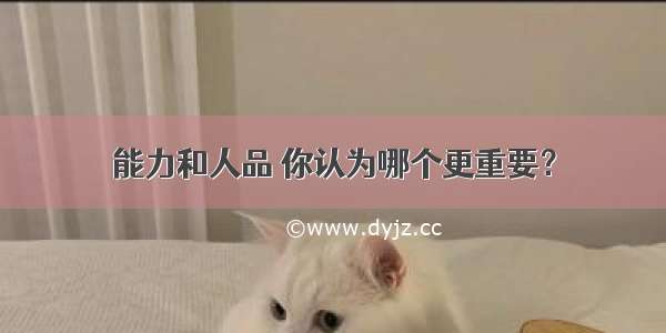 能力和人品 你认为哪个更重要？