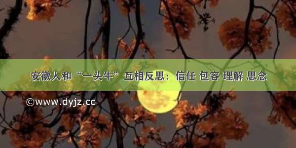 安徽人和“一头牛”互相反思：信任 包容 理解 思念