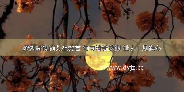 深刻透彻的人生感言 句句清新透彻 让人一见倾心