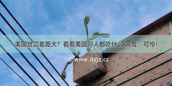 美国贫富差距大？看看美国穷人都吃什么 网友：可怜！