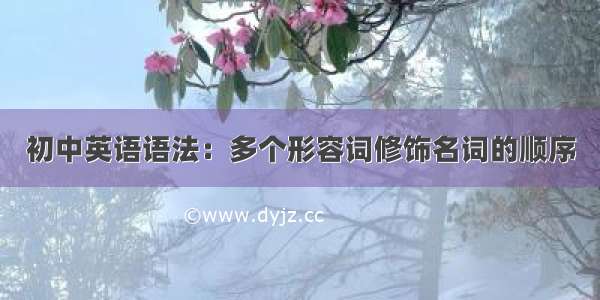 初中英语语法：多个形容词修饰名词的顺序