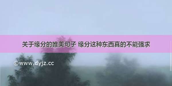 关于缘分的唯美句子 缘分这种东西真的不能强求