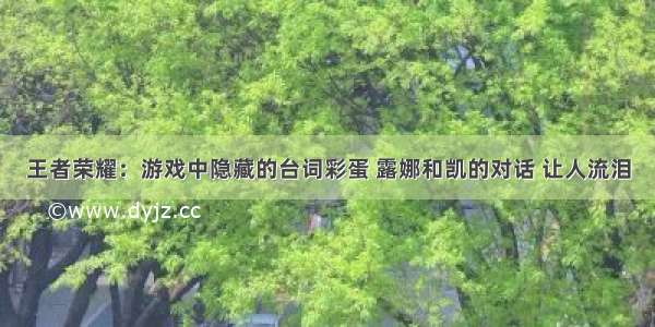 王者荣耀：游戏中隐藏的台词彩蛋 露娜和凯的对话 让人流泪