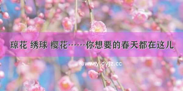 琼花 绣球 樱花……你想要的春天都在这儿