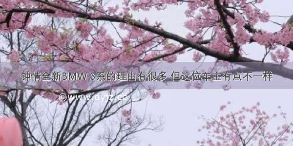 钟情全新BMW 3系的理由有很多 但这位车主有点不一样