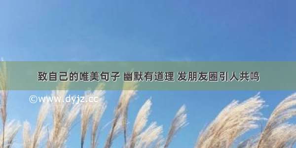 致自己的唯美句子 幽默有道理 发朋友圈引人共鸣