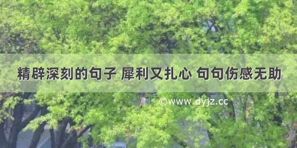 精辟深刻的句子 犀利又扎心 句句伤感无助