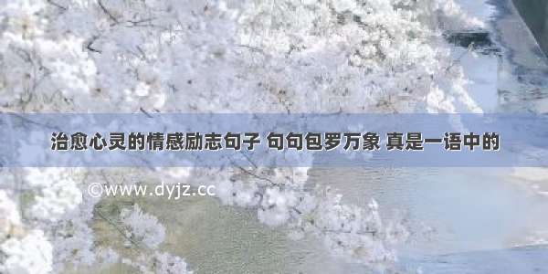 治愈心灵的情感励志句子 句句包罗万象 真是一语中的