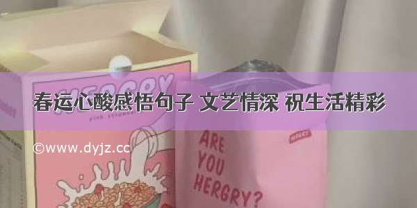 春运心酸感悟句子 文艺情深 祝生活精彩