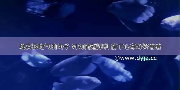 现实接地气的句子 句句简短犀利 静下心来好好看看