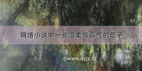 网络小说中一些温柔与霸气的句子