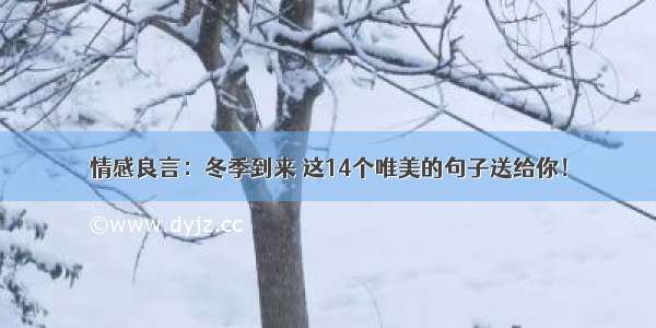 情感良言：冬季到来 这14个唯美的句子送给你！