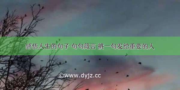 感悟人生的句子 句句箴言 挑一句发给重要的人