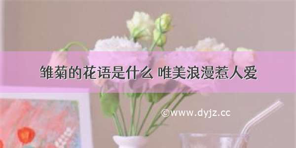 雏菊的花语是什么 唯美浪漫惹人爱