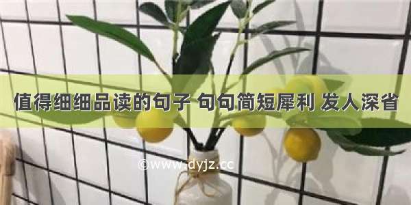 值得细细品读的句子 句句简短犀利 发人深省