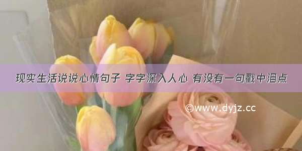 现实生活说说心情句子 字字深入人心 有没有一句戳中泪点