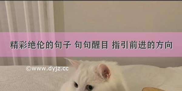 精彩绝伦的句子 句句醒目 指引前进的方向