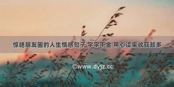 惊艳朋友圈的人生情感句子 字字千金 用心读来收获颇多