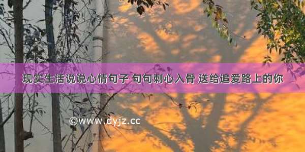 现实生活说说心情句子 句句刺心入骨 送给追爱路上的你