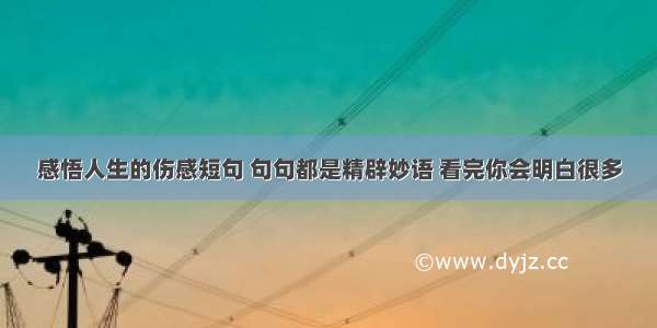 感悟人生的伤感短句 句句都是精辟妙语 看完你会明白很多