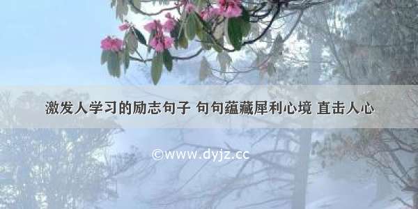 激发人学习的励志句子 句句蕴藏犀利心境 直击人心