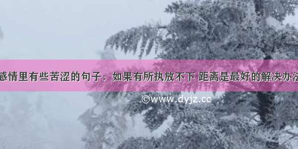 感情里有些苦涩的句子：如果有所执放不下 距离是最好的解决办法