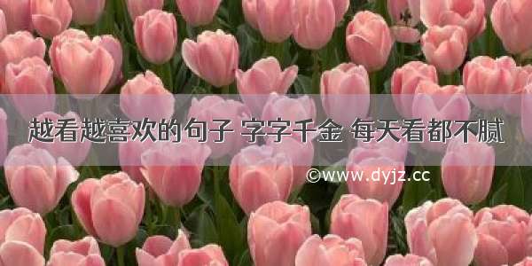 越看越喜欢的句子 字字千金 每天看都不腻