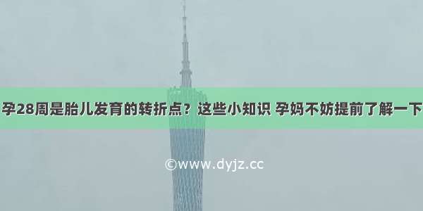 孕28周是胎儿发育的转折点？这些小知识 孕妈不妨提前了解一下