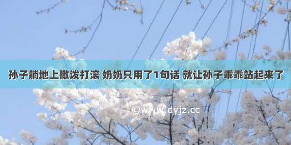 孙子躺地上撒泼打滚 奶奶只用了1句话 就让孙子乖乖站起来了