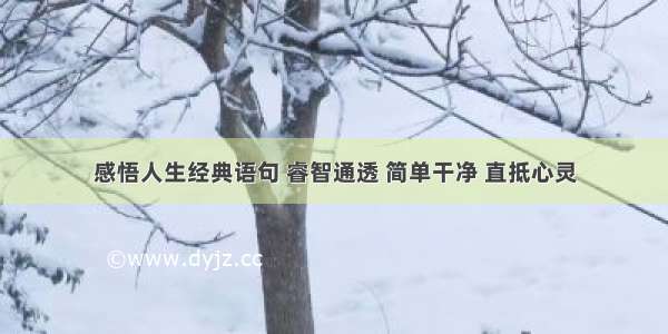 感悟人生经典语句 睿智通透 简单干净 直抵心灵