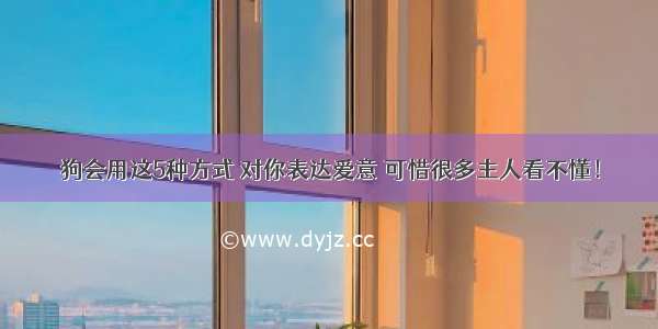 狗会用这5种方式 对你表达爱意 可惜很多主人看不懂！