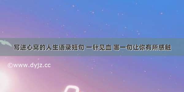 写进心窝的人生语录短句 一针见血 哪一句让你有所感触