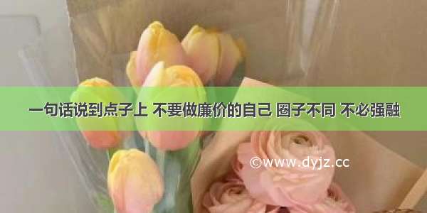 一句话说到点子上 不要做廉价的自己 圈子不同 不必强融