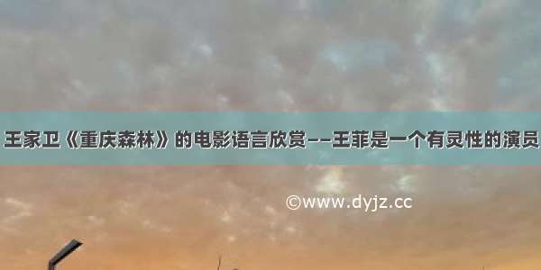 王家卫《重庆森林》的电影语言欣赏——王菲是一个有灵性的演员