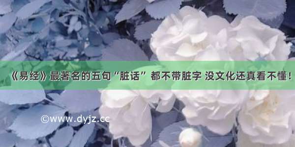 《易经》最著名的五句“脏话” 都不带脏字 没文化还真看不懂！