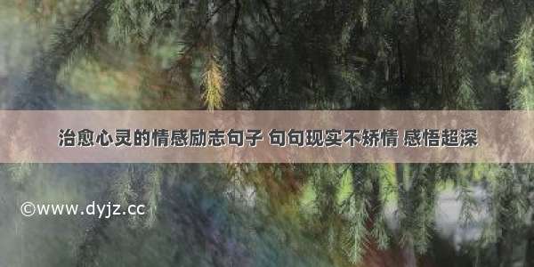 治愈心灵的情感励志句子 句句现实不矫情 感悟超深