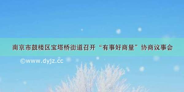 南京市鼓楼区宝塔桥街道召开“有事好商量”协商议事会