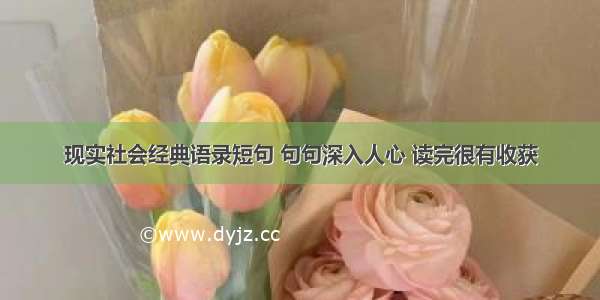 现实社会经典语录短句 句句深入人心 读完很有收获