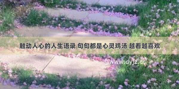 触动人心的人生语录 句句都是心灵鸡汤 越看越喜欢