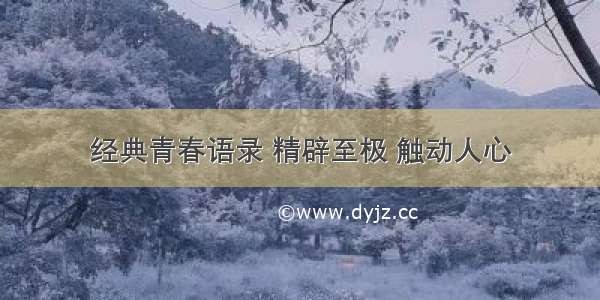 经典青春语录 精辟至极 触动人心