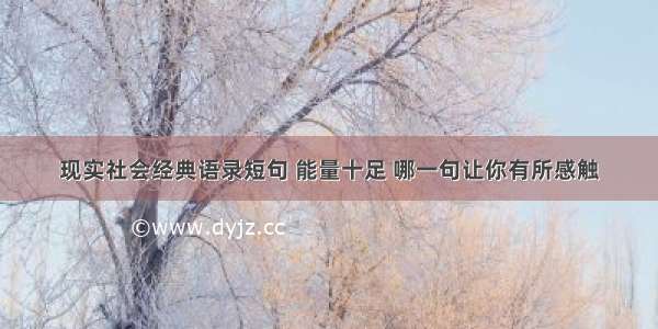 现实社会经典语录短句 能量十足 哪一句让你有所感触