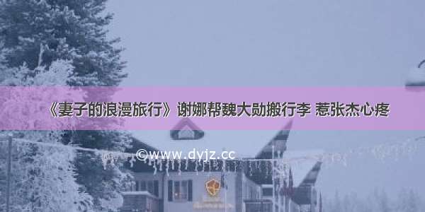 《妻子的浪漫旅行》谢娜帮魏大勋搬行李 惹张杰心疼