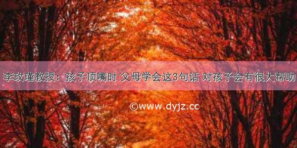 李玫瑾教授：孩子顶嘴时 父母学会这3句话 对孩子会有很大帮助