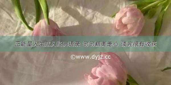 正能量人生感人经典语录 句句精美走心 读完很有收获