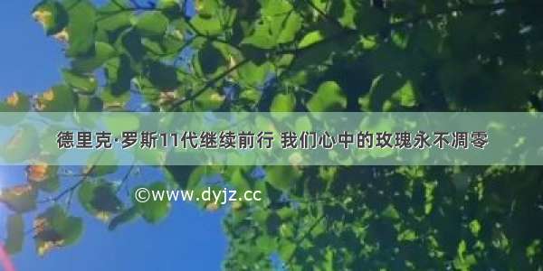 德里克·罗斯11代继续前行 我们心中的玫瑰永不凋零