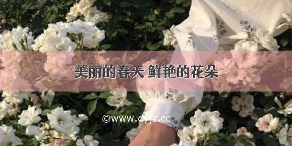 美丽的春天 鲜艳的花朵