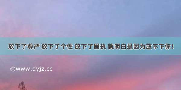 放下了尊严 放下了个性 放下了固执 就明白是因为放不下你！