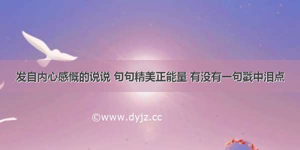 发自内心感慨的说说 句句精美正能量 有没有一句戳中泪点